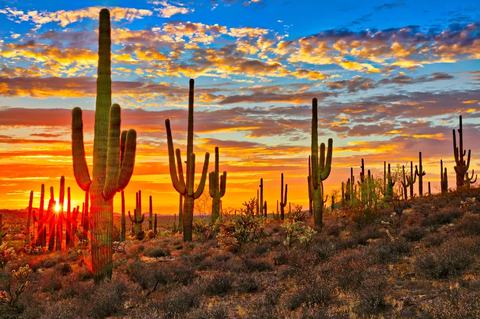 This image has an empty alt attribute; its file name is arizona-sunset.webp